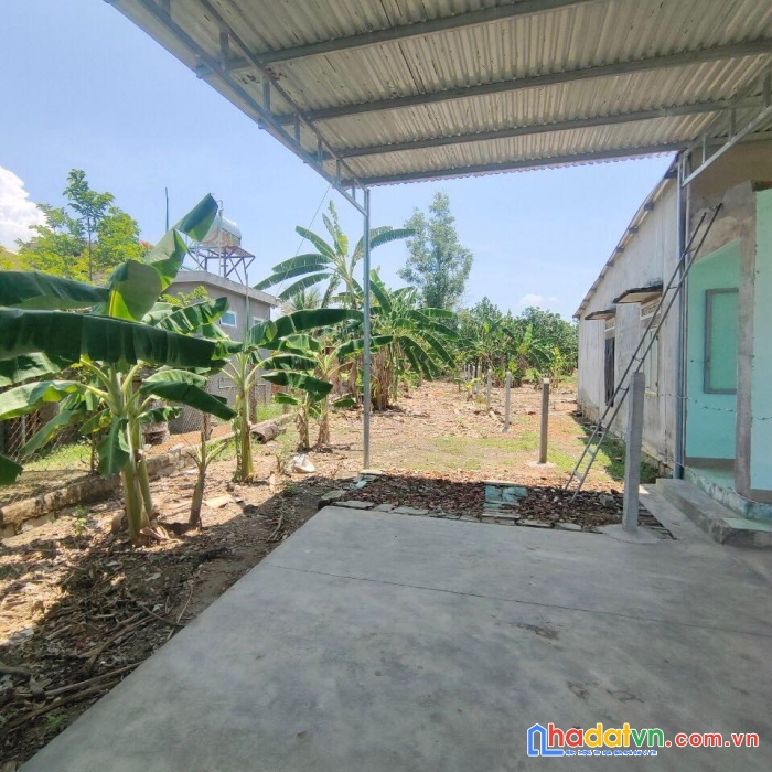 Bán đất thổ đường ô tô chỉ 660tr diên xuân diên khánh khu dancư đôg đúc lh 0985451850 xuân xuyên