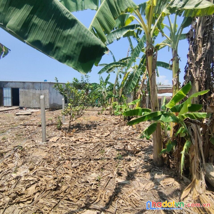 Bán đất thổ đường ô tô chỉ 660tr diên xuân diên khánh khu dancư đôg đúc lh 0985451850 xuân xuyên