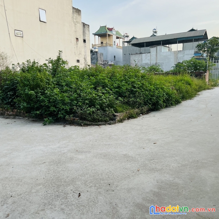 Thanh khoản nhanh 51,6m² đại bằng nguyên khê - đông anh.