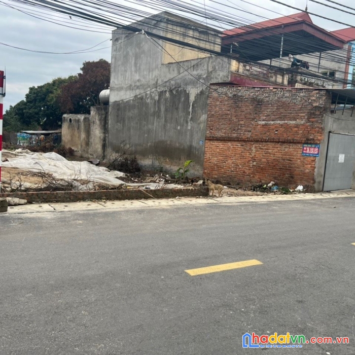 Cắt lỗ bán nhanh lô 368m² tại dược hạ, tiên dược, đường trải nhựa ô tô tránh.
