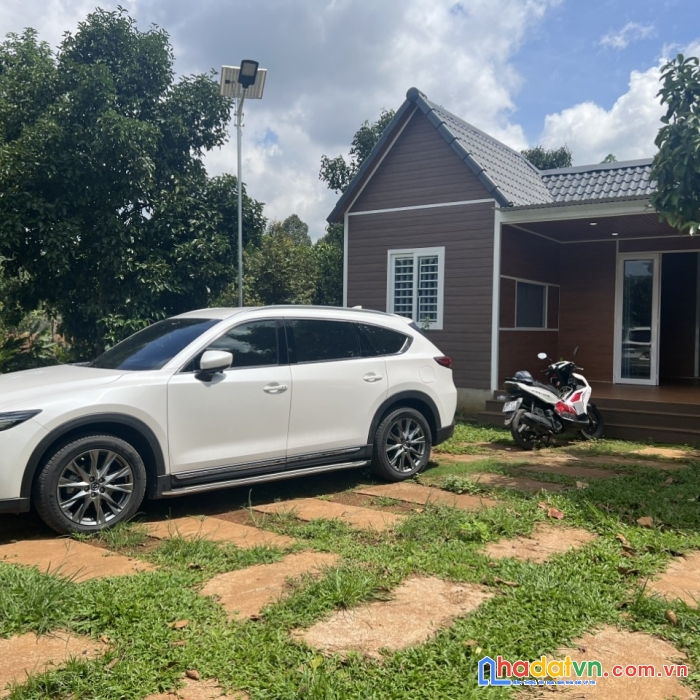 Bán vườn trái cây, vườn măng cụt, bơ, sầu riêng .