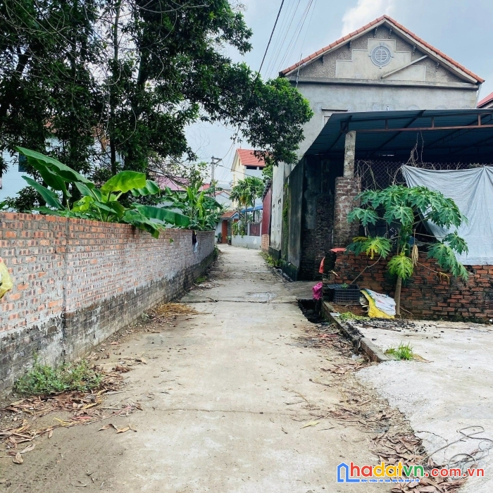 Cơ hội sở hữu hàng f0 với giá hơn 600 triệu/lô 50m².