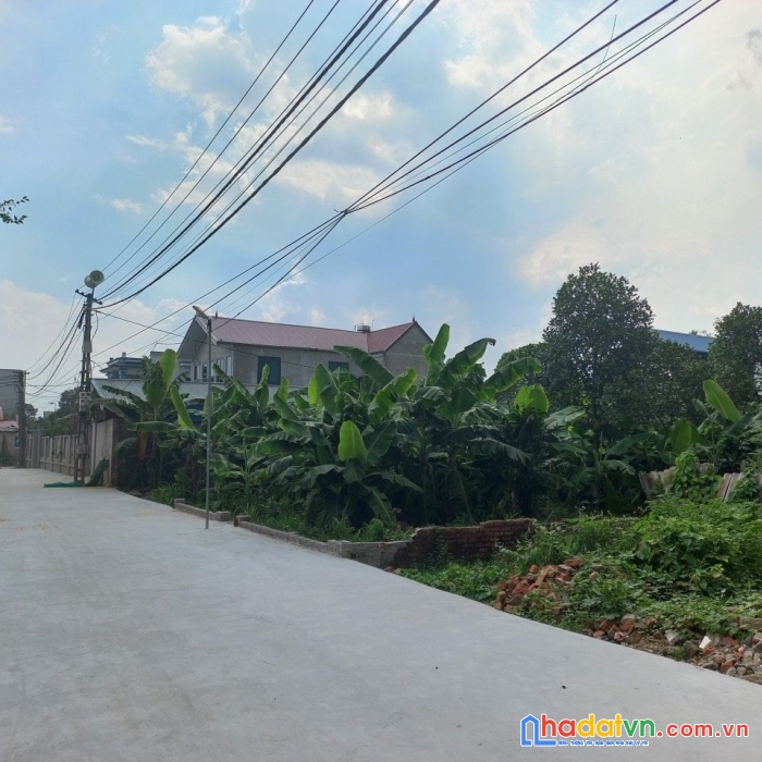 Bán gấp 50,5m tại bắc thượng quang tiến sóc sơn đường ô tô tránh nhau