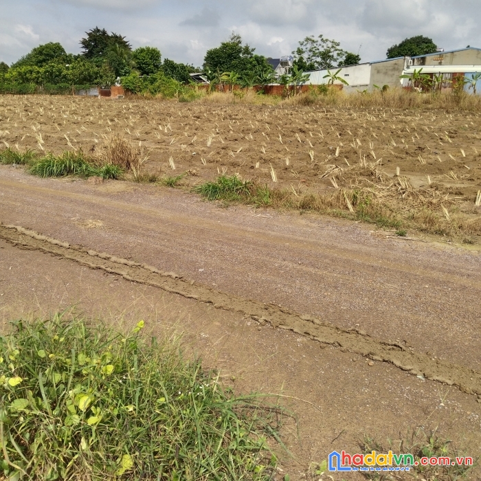 Tôi cần bán đất sẵn sổ gần 3 kcn,lớn  đất đẹp gần cao tốc, từ 250tr/2000m2