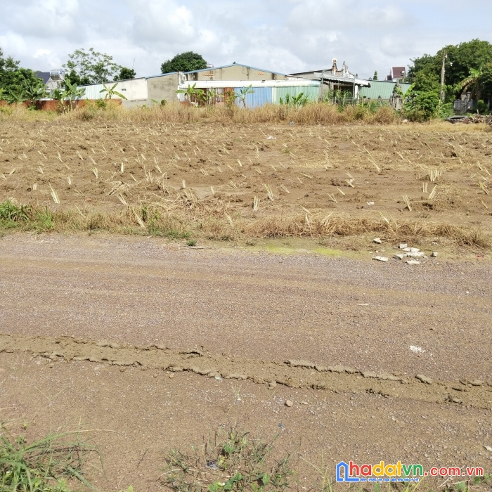 Tôi cần bán đất sẵn sổ gần 3 kcn,lớn  đất đẹp gần cao tốc, từ 250tr/2000m2