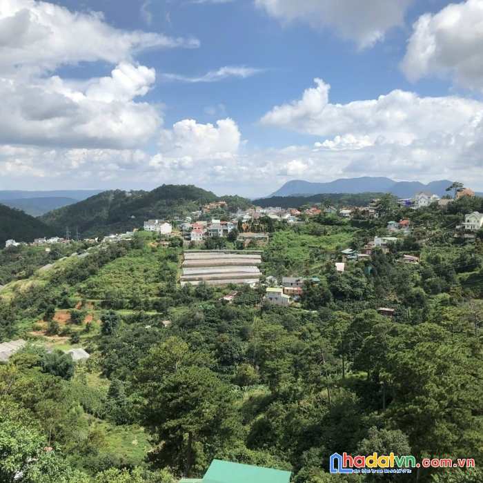 [ định cư nước ngoài ] chủ giảm giá bán gấp căn homestay kinh doanh view đẹp tại p10, đà lạt giá