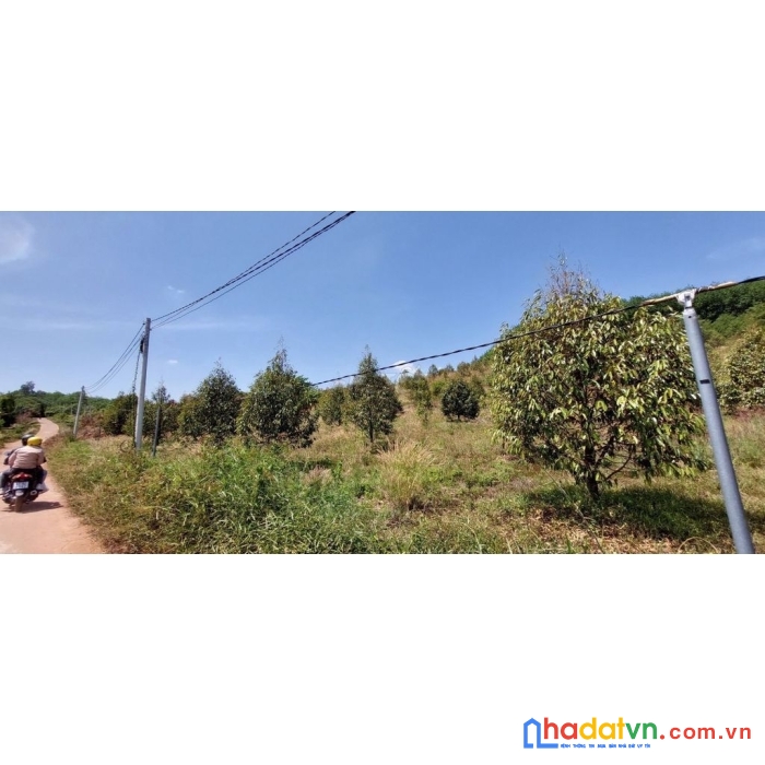 Bán miếng vườn không có thời gian chăm sóc do đi nước ngoài 360 triệu