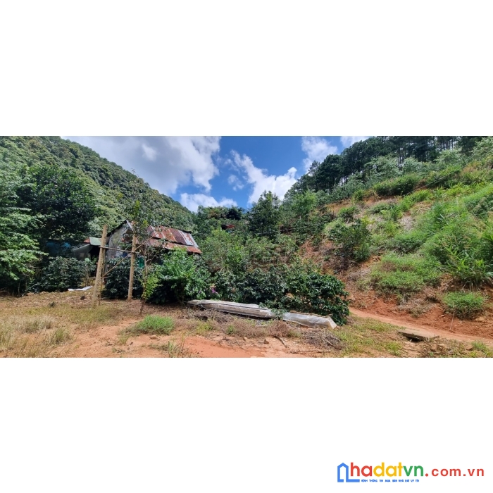 [ tin nóng ] cần bán gấp đất rộng view đẹp thích hợp làm du lịch tại phường 7, đà lạt 2ha