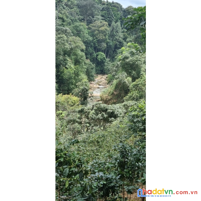 [ tin nóng ] cần bán gấp đất rộng view đẹp thích hợp làm du lịch tại phường 7, đà lạt 2ha