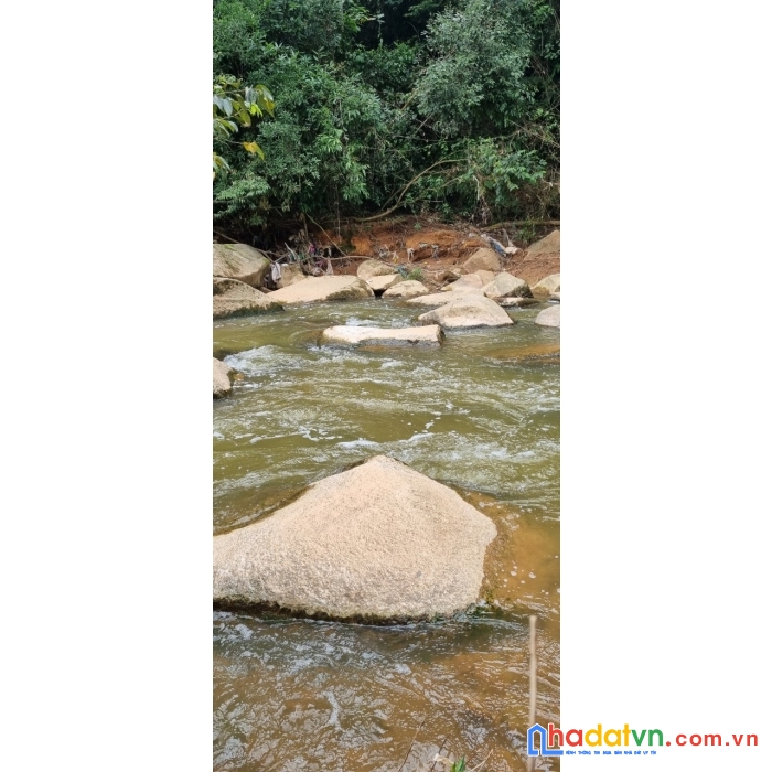 [ tin nóng ] cần bán gấp đất rộng view đẹp thích hợp làm du lịch tại phường 7, đà lạt 2ha