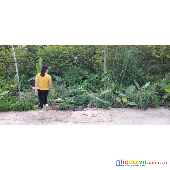 Chính chủ cần bán gấp lô đất ở thôn 9 kỳ sơn, thủy nguyên, hải phòng.