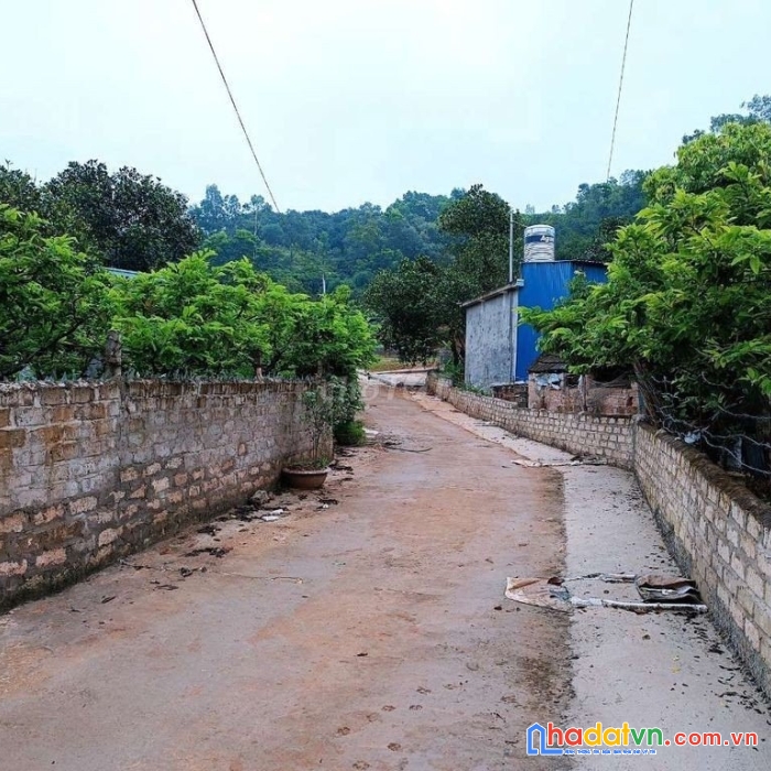 Chính chủ cần bán gấp lô đất ở thôn 9 kỳ sơn, thủy nguyên, hải phòng.
