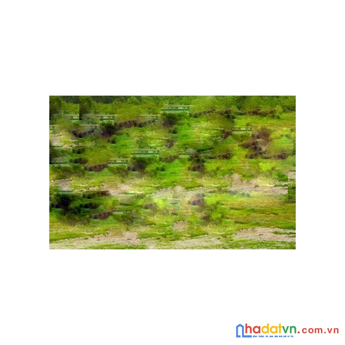 81m² mặt phố làn 2 lê thái tổ, kinh doanh đỉnh nhỉnh 4 tỷ
