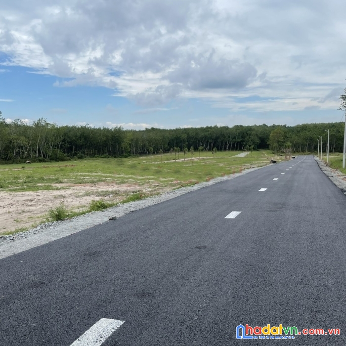 Tuần này tôi bung lụa 20 sản phẩm đất nền giá 250 triệu