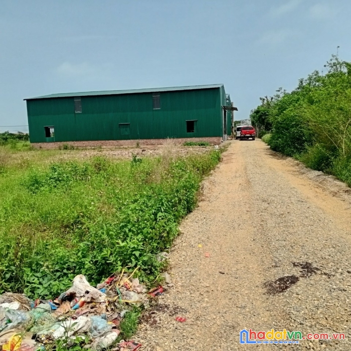 Chính chủ cần cho thuê kho xưởng phụng châu, chương mỹ, hà nội.