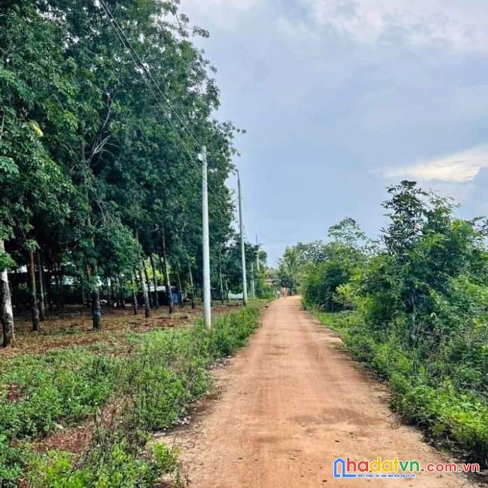 Tôi cần bán 2 miếng đất gần 3 kcn,lớn  đất đẹp gần cao,giá  250tr/2000m2