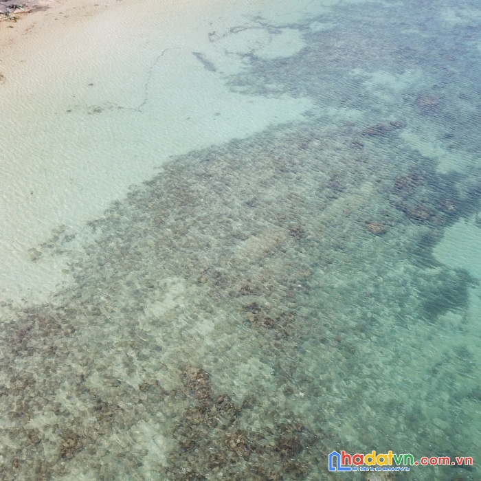 Bán mảnh đất thổ cư view biển xây resort bungalow giá rẻ nhất tp phú quốc