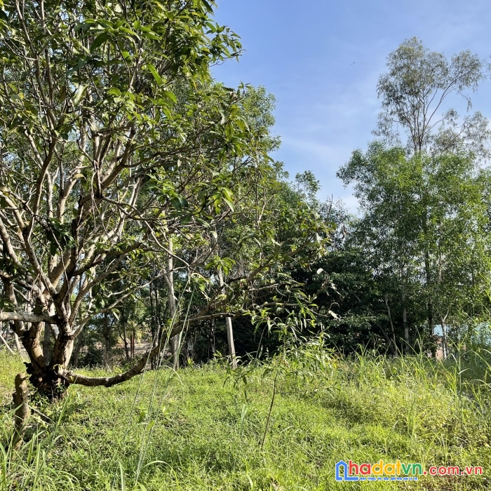 Bán 3000m đất thổ cư xây biệt thự view biển tp phú quốc