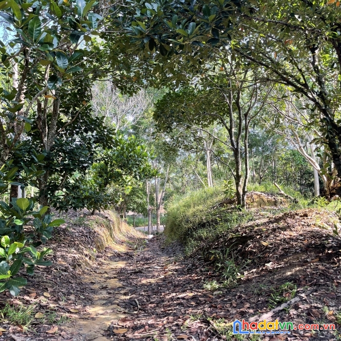 Bán 3000m đất thổ cư xây biệt thự view biển tp phú quốc