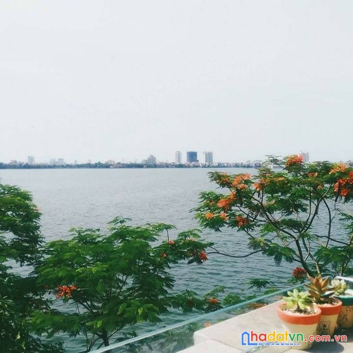  cần chuyển nhượng tòa nhà văn phòng mặt phố thụy khuê view hồ tây.