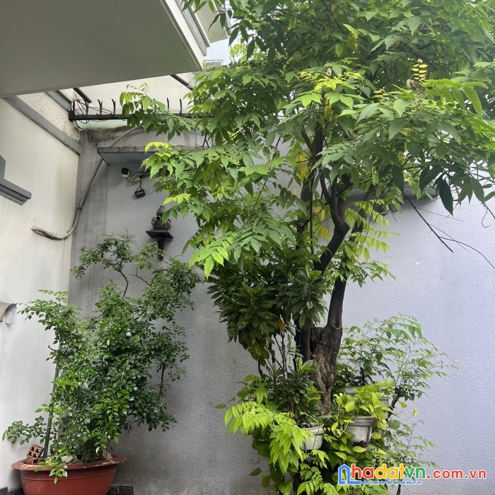 Bán gấp biệt thự cổ tạo lạc trên mt đội cung, p11, quận 11 (6x21) với 28 tỷ
