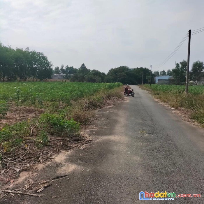 Cần vốn bán gấp 2800m2 tại xã an thới đông, huyện cần giờ. đất nông nghiệp 1tr/m2