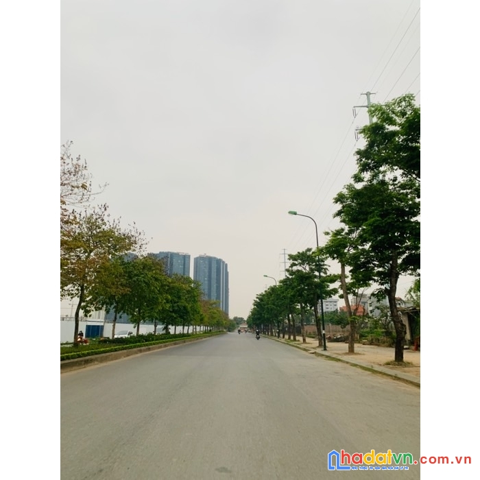 Tây hồ- 47m đất sổ đỏ vuông – mặt tiền 5.5m – cạnh đường đôi 40m ciputra – 3.55 tỷ 