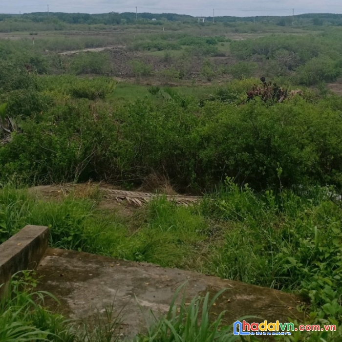 Cần bán 6000m2 tại lý nhơn - cần giờ - tphcm giá 900k/m2