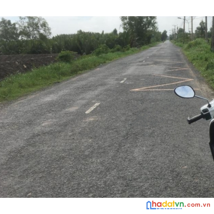 Chủ cần tiền bán nhanh mảnh đất nông nghiệp ( an thới đông 1tr/m2)