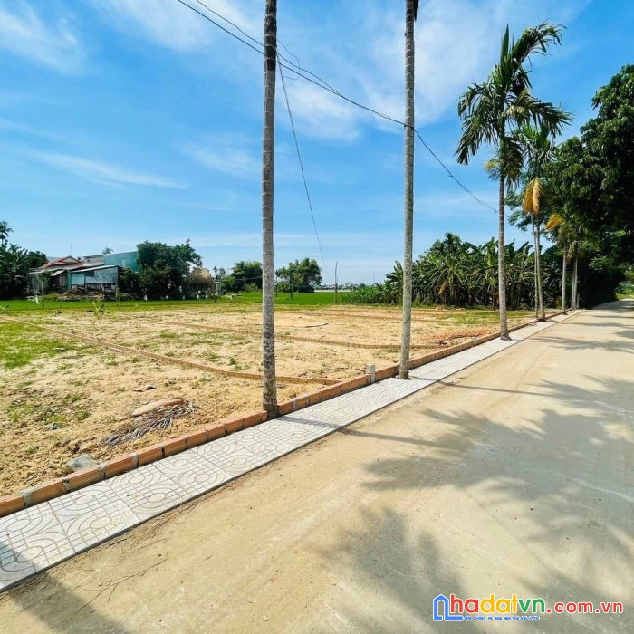 20 lô siêu phẩm đất điện hồng điện bàn