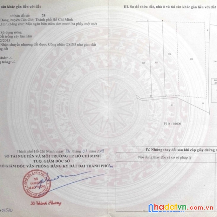 Chủ kẹt tiền cần bán gấp lô đất tọa lạc tại xã an thới đông cần giờ