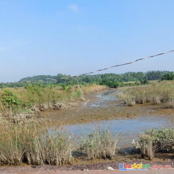 Chủ kẹt tiền cần bán gấp lô đất tọa lạc tại xã an thới đông cần giờ