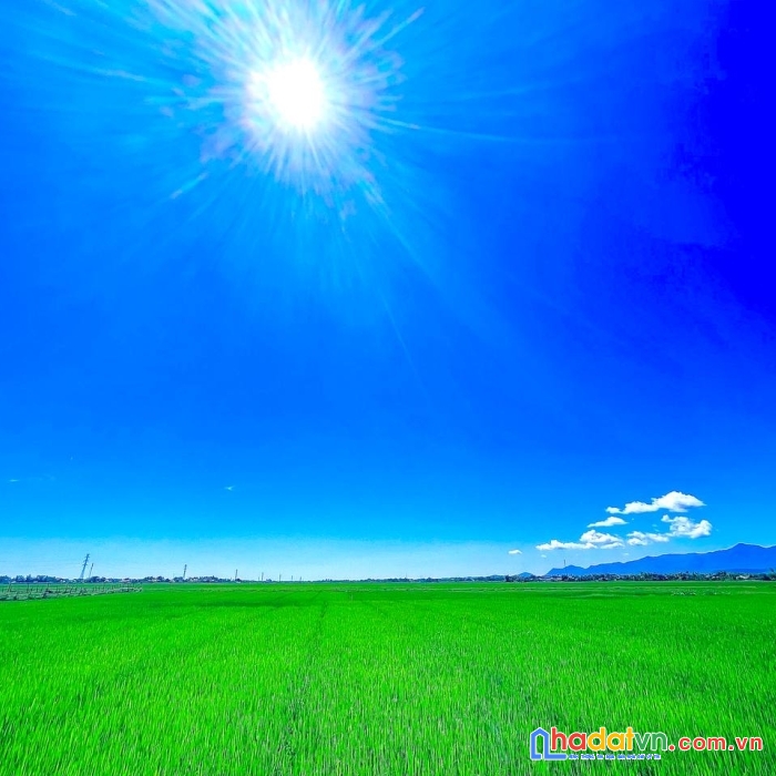 Chính chủ cần bán mảnh vườn hơn 500m2, vuông vắn