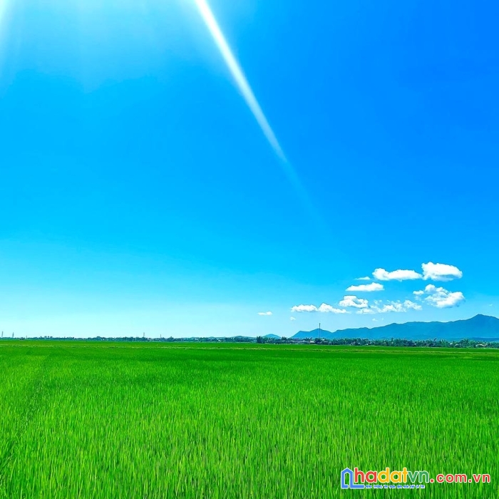 Chính chủ cần bán mảnh vườn hơn 500m2, vuông vắn