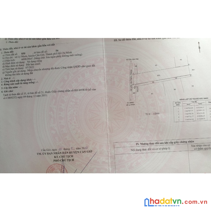 Cần bán 6000m2 tại lý nhơn cần giờ tphcm