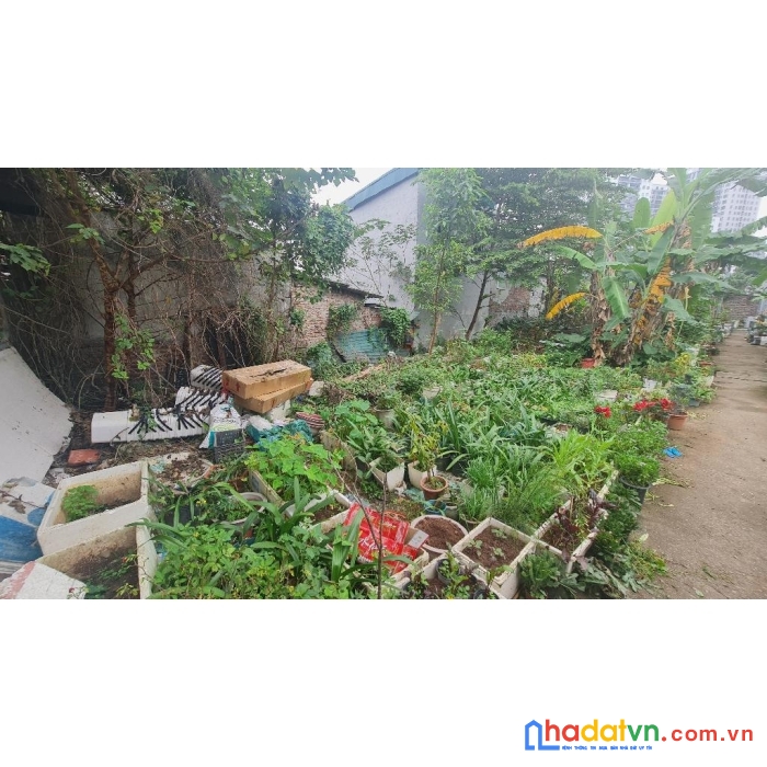 Hiếm – 130m đất tây hồ - lạc long quân- mặt tiền  20m - 2.9tỷ  