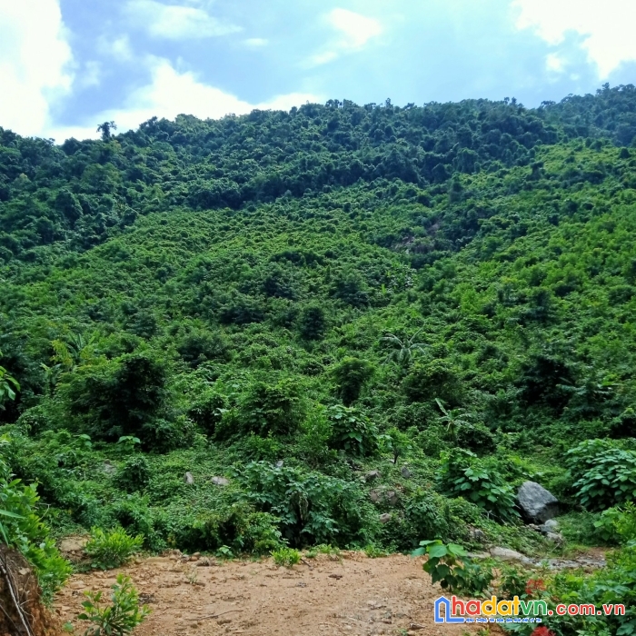 Bán 9.5ha đất rẫy tại xã hòa bắc, đà nẵng, 4.9 tỷ tl