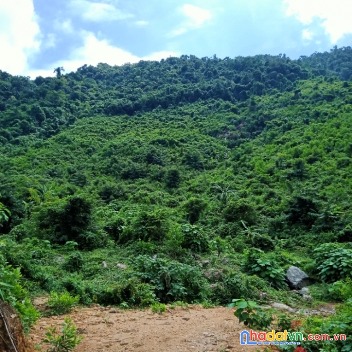 Bán 9.5ha đất rẫy tại xã hòa bắc, đà nẵng, 4.9 tỷ tl