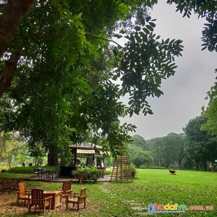 Mở bán căn hộ chung cư cao cấp sở hữu tầm view độc bản tại phía đông hà nội
