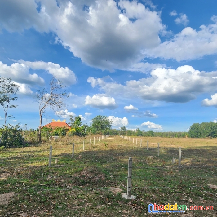 Gấp bán lô đất thị trấn dầu tiếng giá rẻ 565m² gần đường đt744