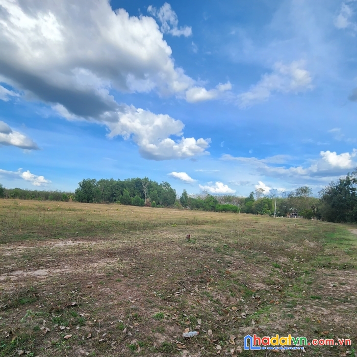 Gấp bán lô đất thị trấn dầu tiếng giá rẻ 565m² gần đường đt744