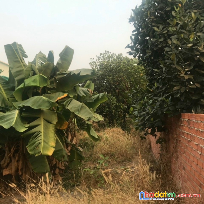 Bán đất gần đường lớn cách mạng tháng tám tây ninh