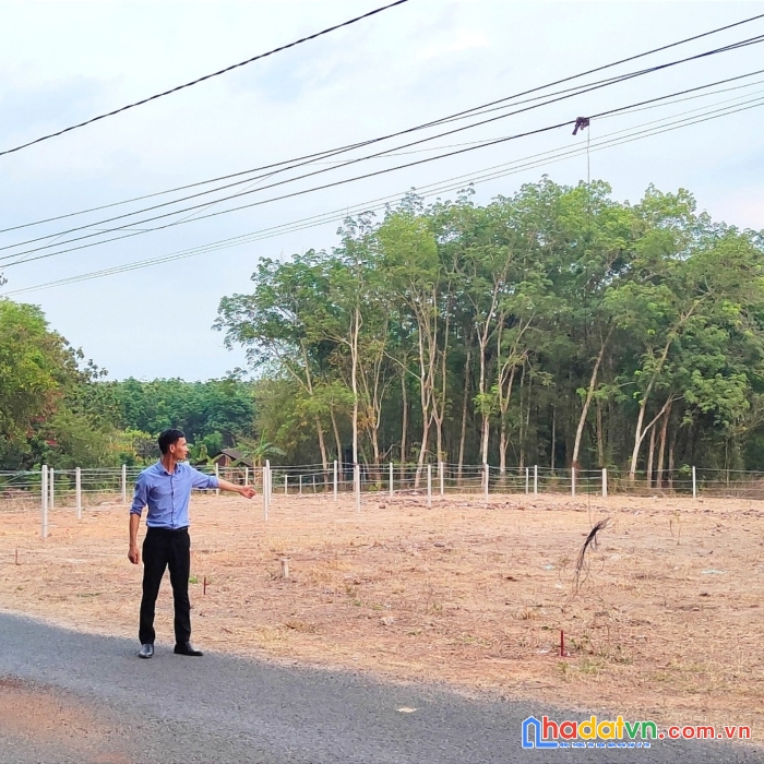 Đất chơn thành giá rẻ mặt tiền nhựa lg 32m   .