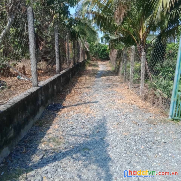 Bán đất thổ cư, dương minh châu, dt 278m2, gần đường 784, 380 triệu hết đất