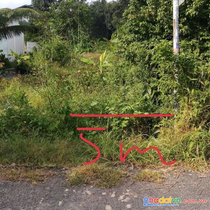 Bán ngộp lô đất ở thành phố tây ninh, đường nhựa trước đất 4m - ô tô đến đất