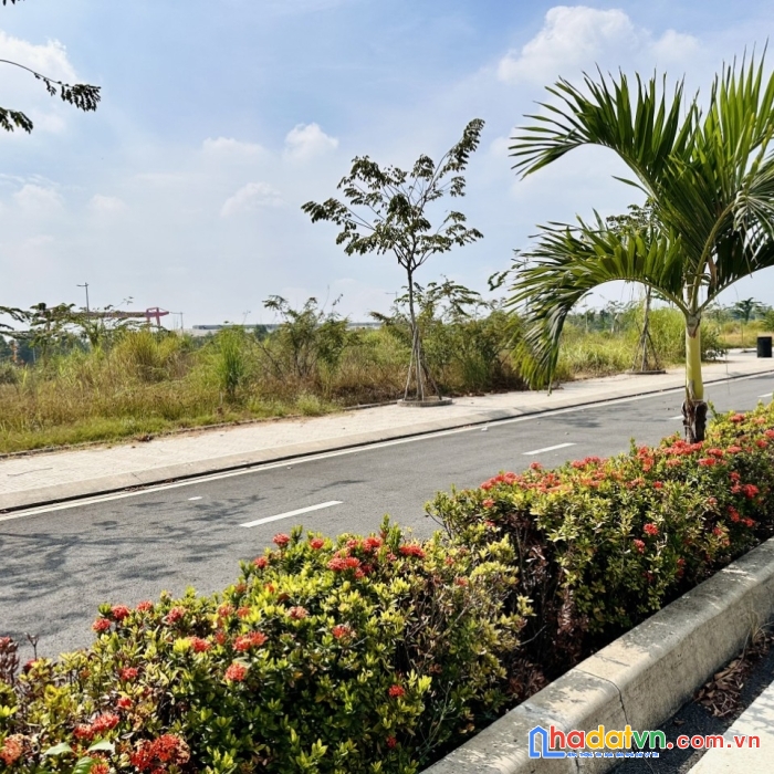 Ngộp quá ! cần bán đất giáp bình chánh 90m2 giá 1 tỷ 2 chiết khấu tốt .