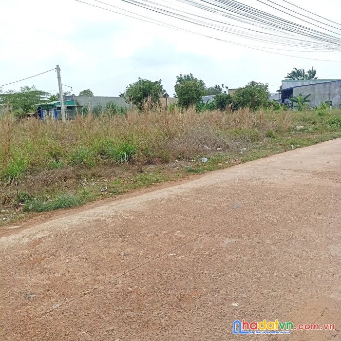Cần bán gấp lô đất 6 x 48, nở hậu 12m ngay tx chơn thành giá rẻ