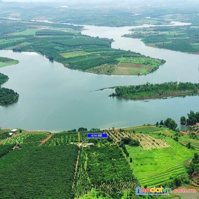 Bán 28,5 héc ta đất, đất có 3 mặt tiền, mặt tiền đường bao quanh rộng 1600m, có hồ riêng rộng 3hec