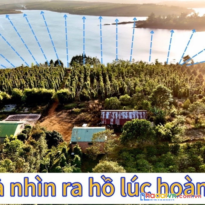 Bán 28,5 héc ta đất, đất có 3 mặt tiền, mặt tiền đường bao quanh rộng 1600m, có hồ riêng rộng 3hec