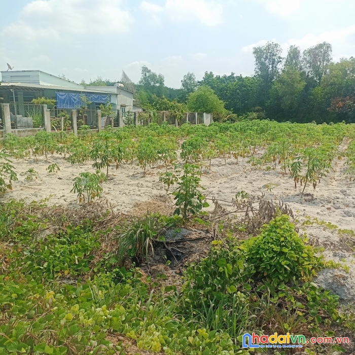  cần bán 6m mặt tiền đường ngay tx chơn thành giá rẻ